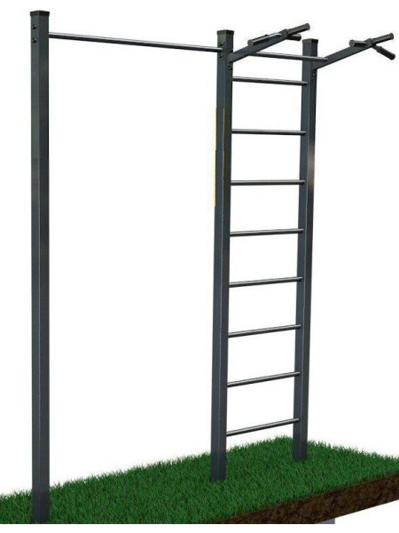 Турнік подвійний+шведська стінка для вулиці